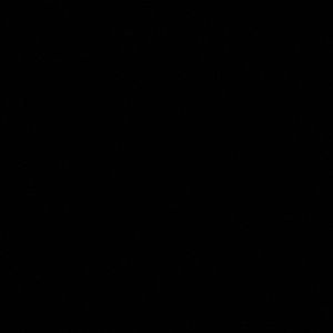 Meet your Posher, Ameera